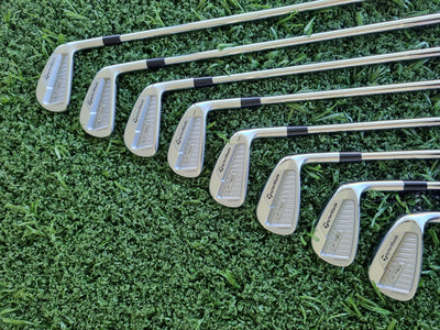TaylorMade P760 Iron Set 3-PW Dynamic Gold 120 (USED)