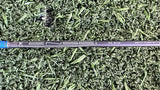 Titleist GT2 #4 Hybrid 21° Regular (NEW) - shaft